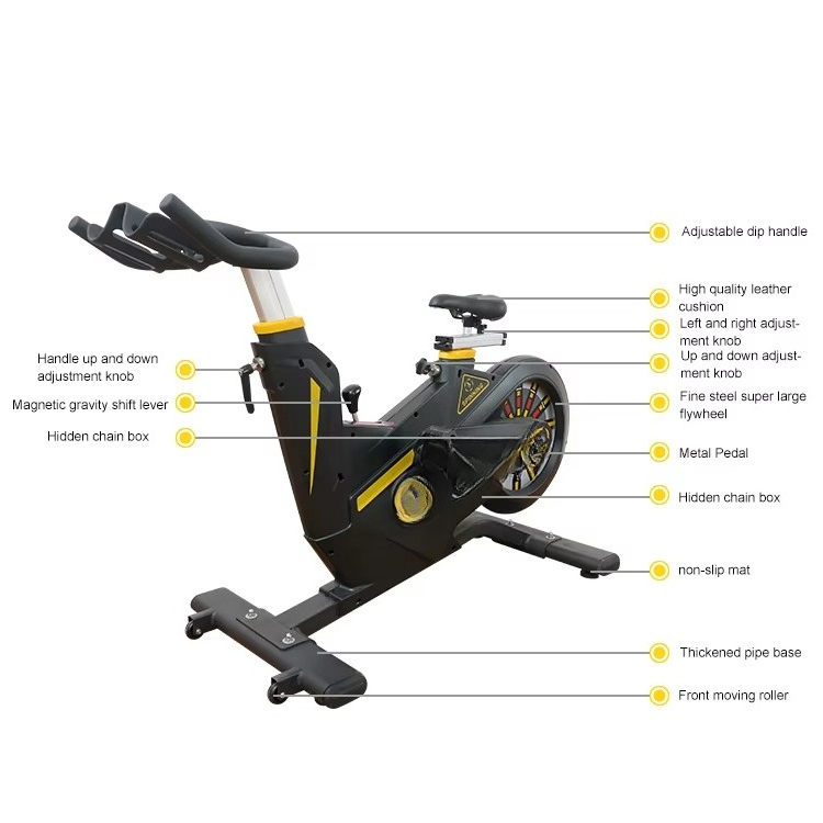 Bicicleta de Ejercicio con Tra - Exercise Bike Magnetic Resistance reseña y precio